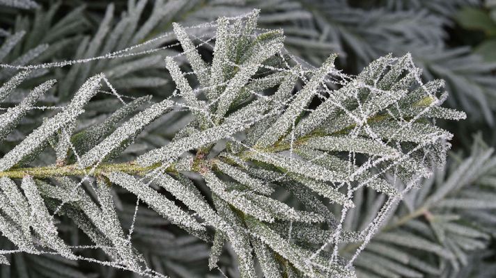 El tiempo - La cota de nieve estará entre 400 u 800 metros en la mitad norte peninsular y bajará en el resto hasta 800 o 1200 metros