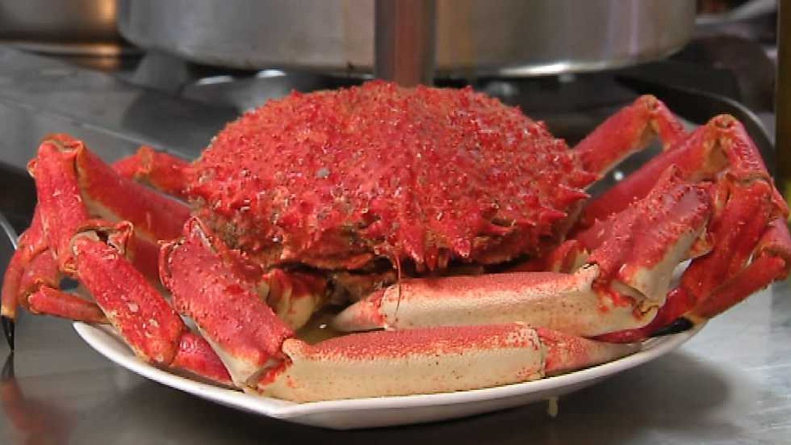 Agrosfera - 14/03/15 - Ver ahora