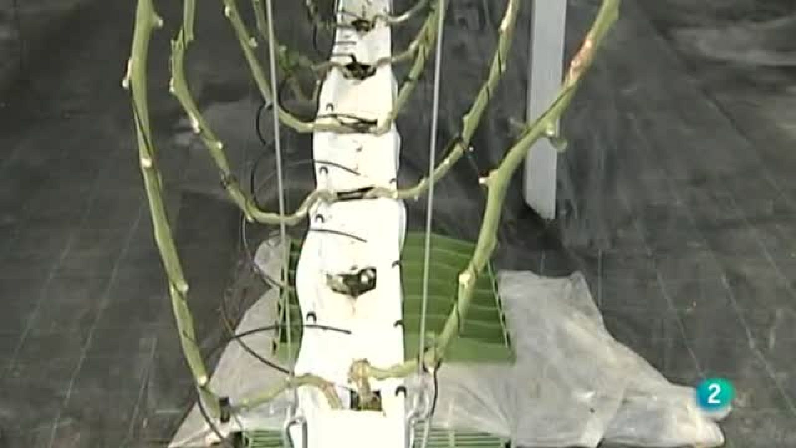 Agrosfera - Laboratorio de ideas - La tenca