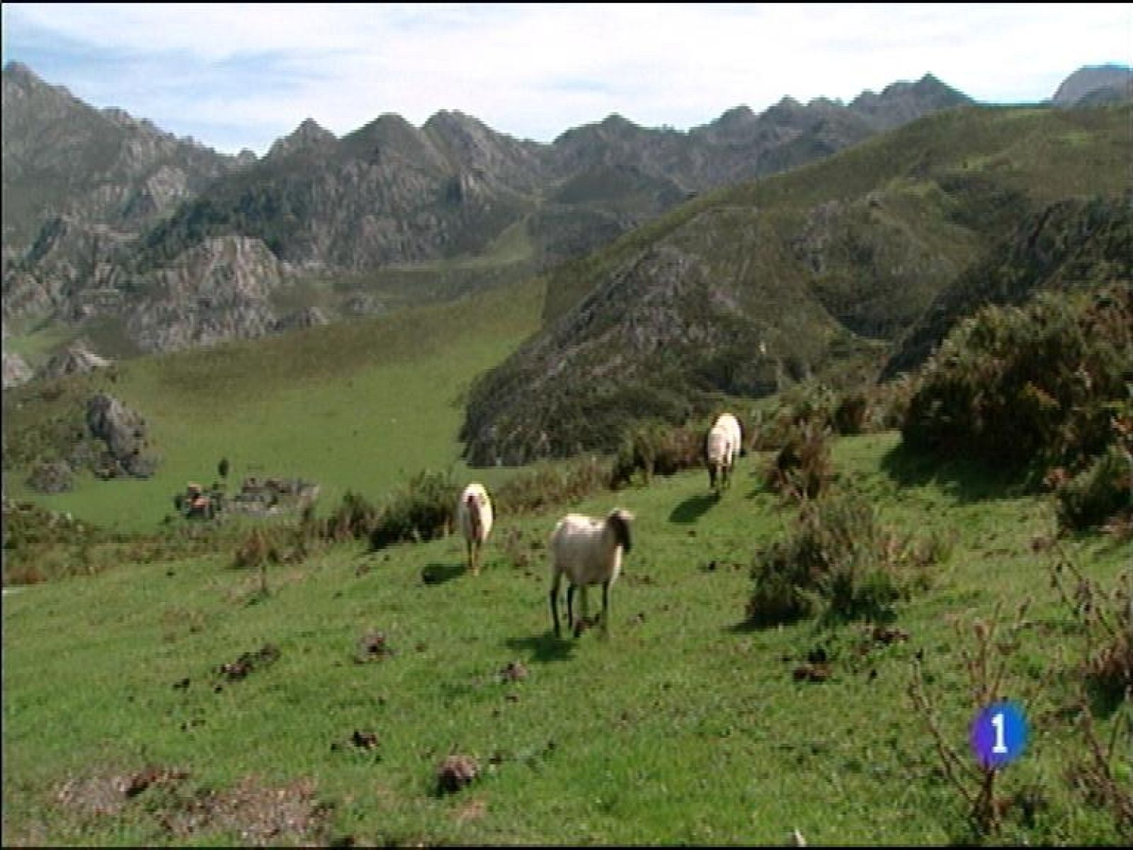 Panorama Regional 2 - 16/03/15