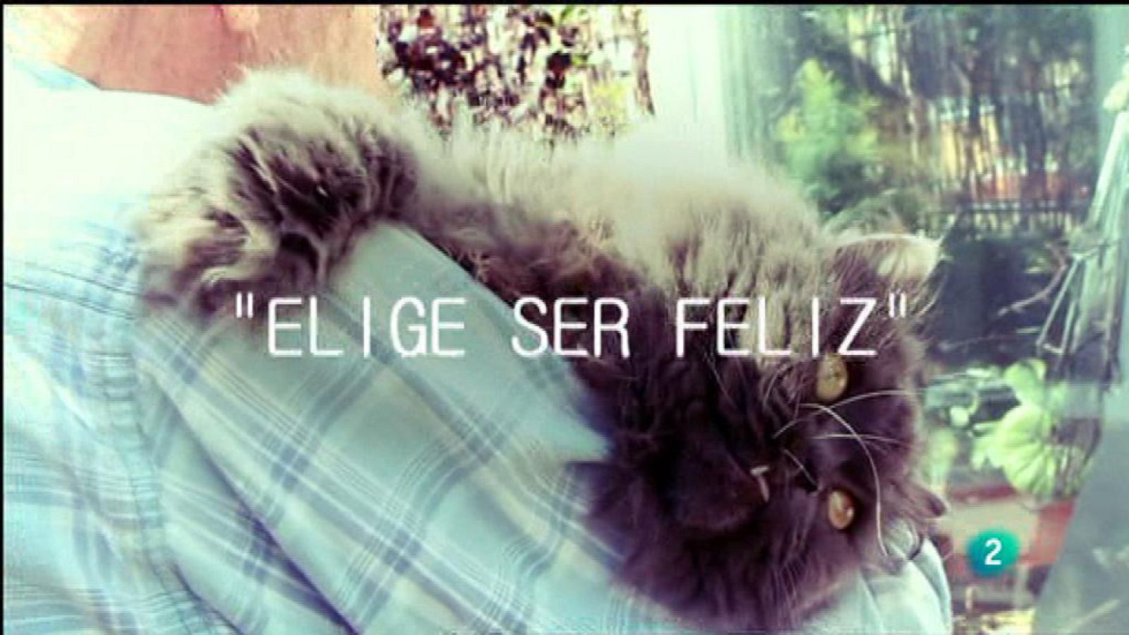 Para Todos La 2 - El mundo en tus manos - ¿Qué cambiarías de tu vida?