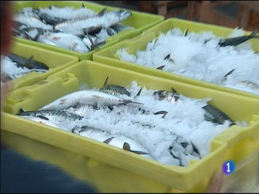 Panorama Regional - Panorama Regional 2 - 17/03/15