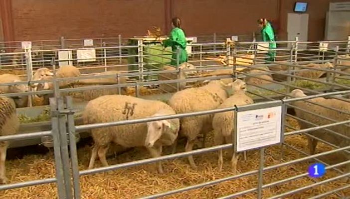 Noticias Aragón - Noticias Aragón 2-17/03/15