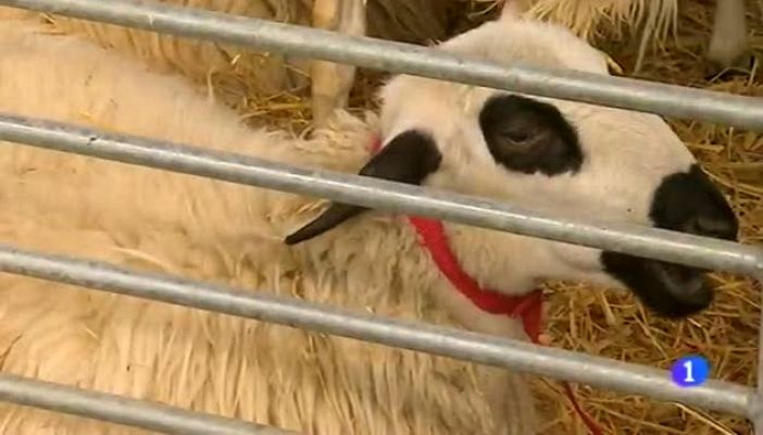 Noticias Aragón - Noticias Aragón - 17/03/15