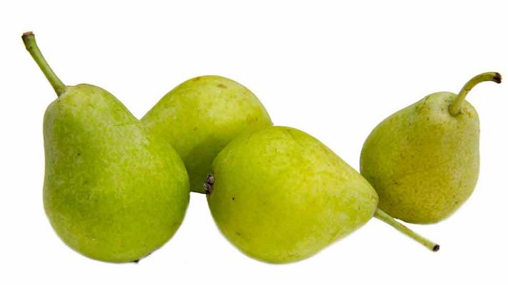 La mañana - Grasas y vesícula