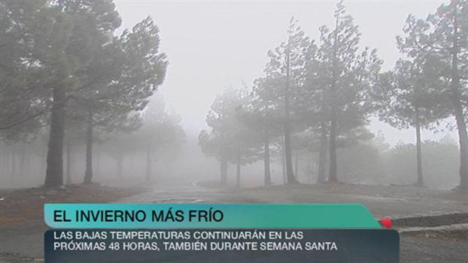 + Canarias - 18/03/15 - +Canarias | Ver