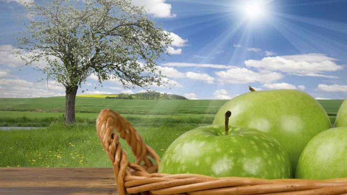 La mañana - Ponerse a dieta en primavera