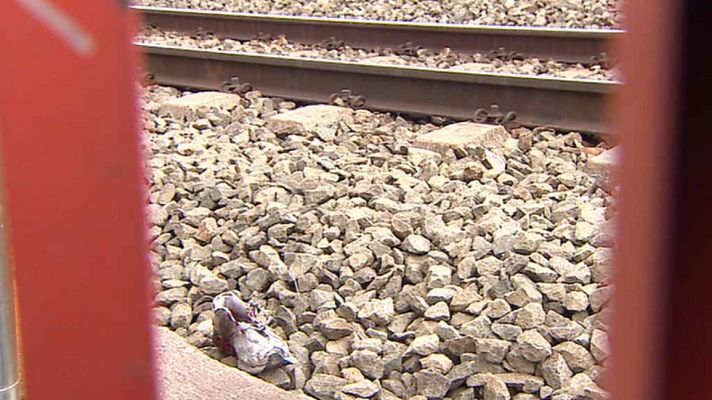 Telediario 1 - Un hombre fue arrollado por un tren en Madrid