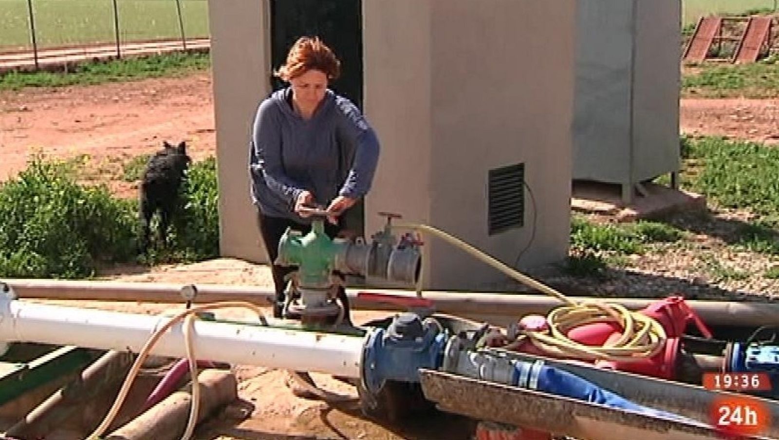 Parlamento - El reportaje - Mujeres rurales en el Senado - 21/03/2015