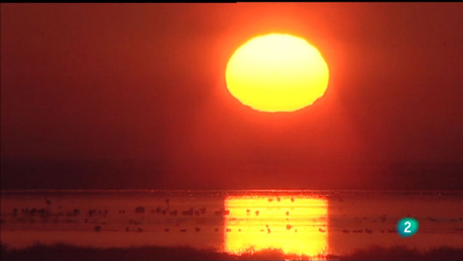 La Aventura del Saber. Censos aéreos de Doñana