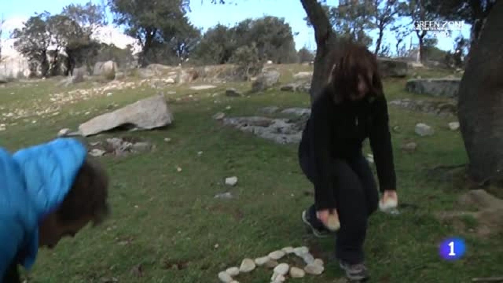 Una escuela en mitad de un bosque