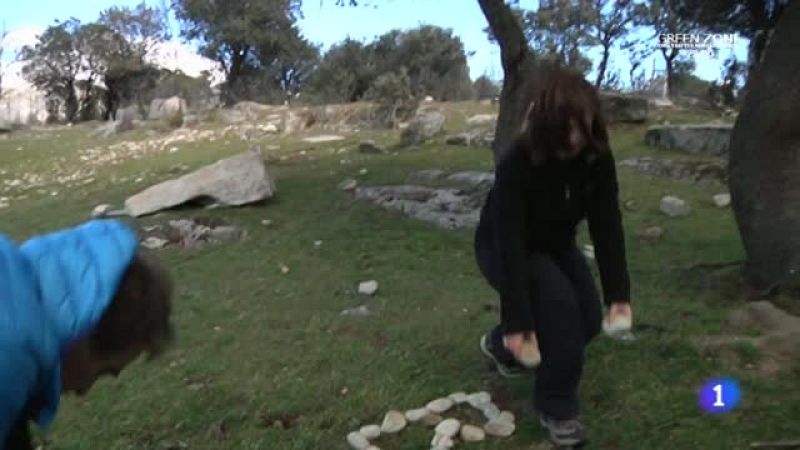 Una escuela en mitad de un bosque