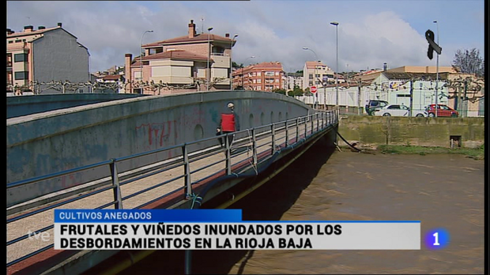 Informativo Telerioja - 25/03/15