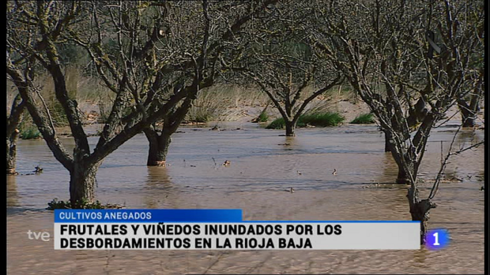 Informativo Telerioja 2 - 25/03/15