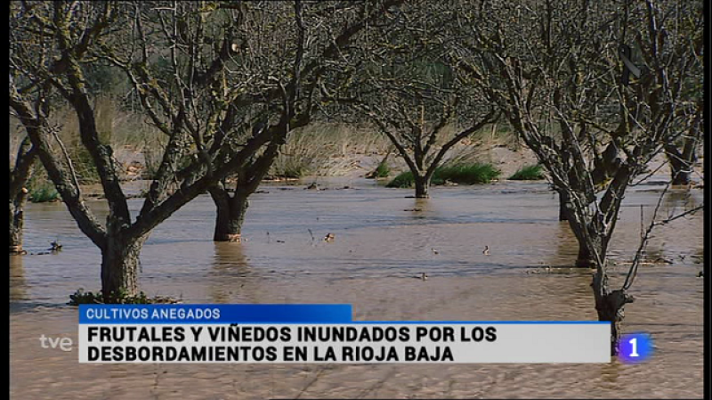 Informativo Telerioja 2 - 25/03/15