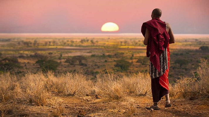 Documenta2 - La torre de Babel: guerreros de la Sabana africana