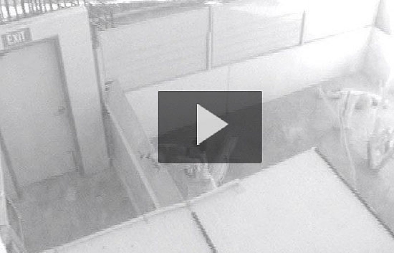 Un niño provoca una 'masacre' en un zoo