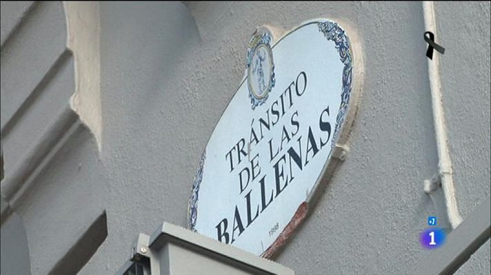 Comando Actualidad - Gijón , Asturias