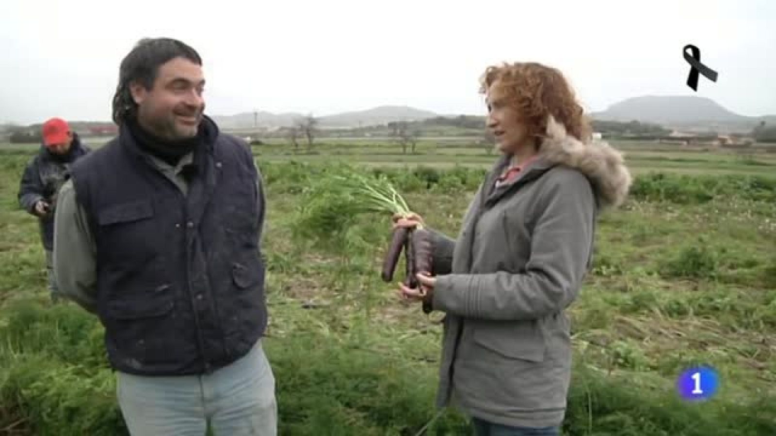 Zanahorias moradas, tesoro mallorquín