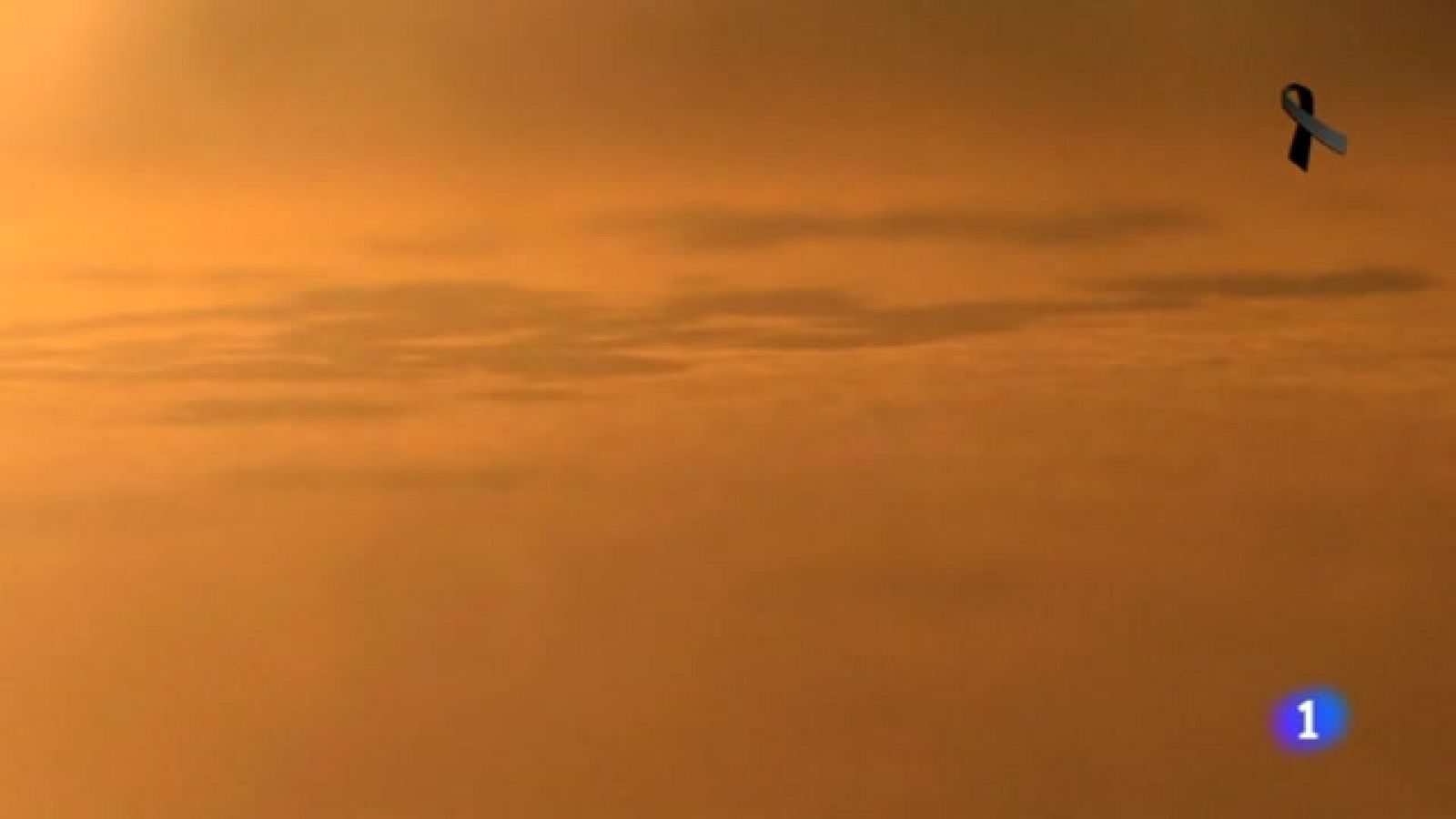 Cómo se elabora la rica manzanilla