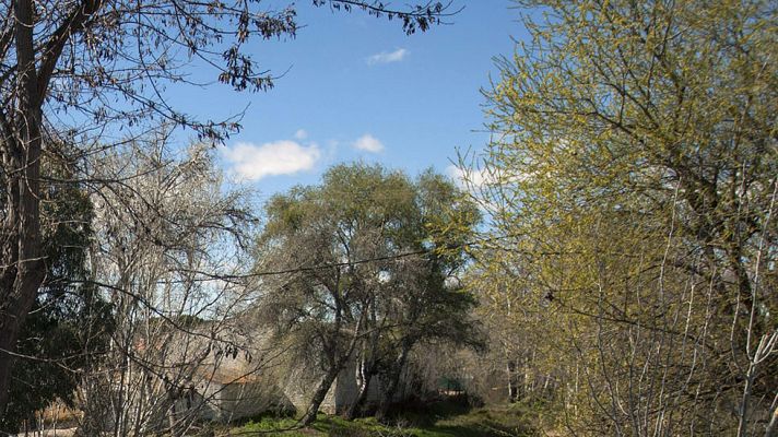 El tiempo - Ascenso notable de la temperatura en muchas zonas de la Península