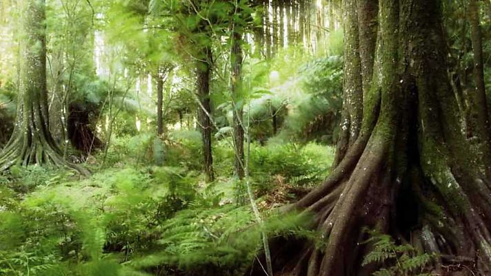 Documenta2 - El planeta humano