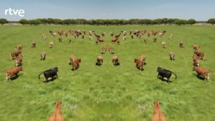 Aquí la Tierra - La Hora del planeta