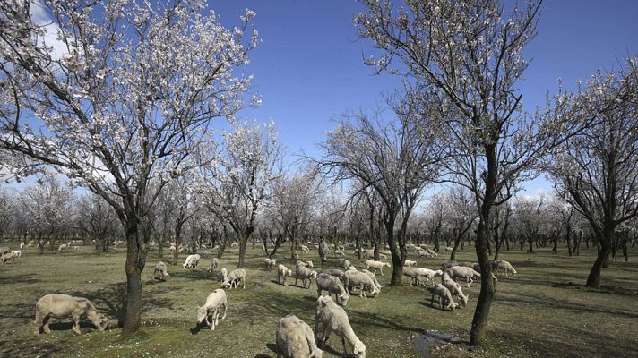 Informativo de Madrid - El Tiempo en la Comunidad de Madrid - 27/03/15