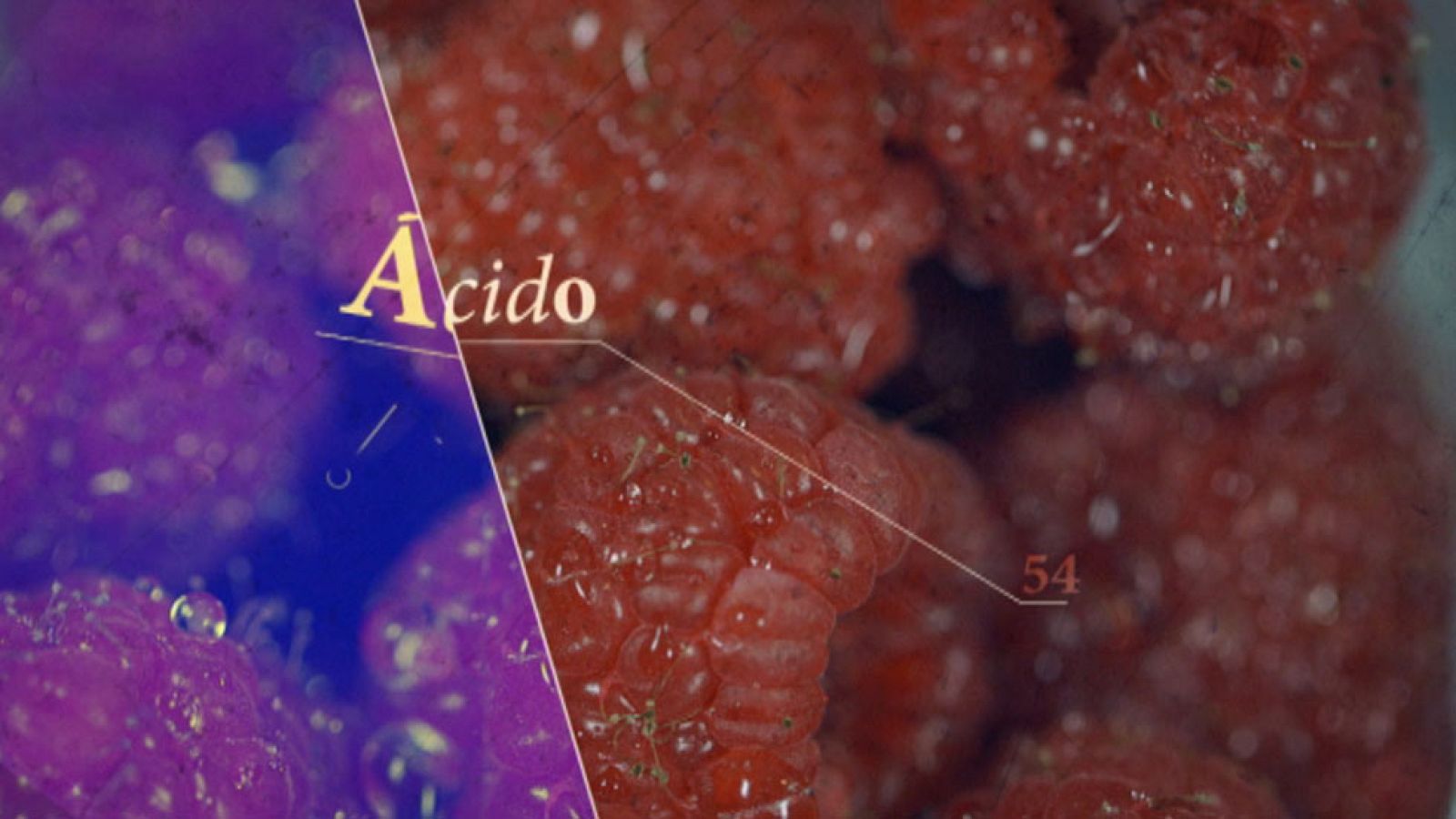 Al punto, tu nueva revista de gastronomía en La1