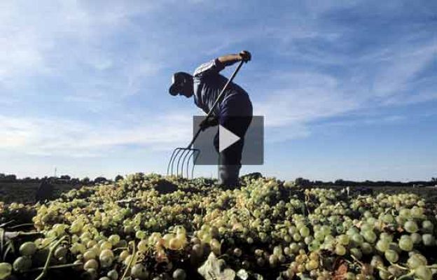 Informe Semanal - Campos de Esperanza