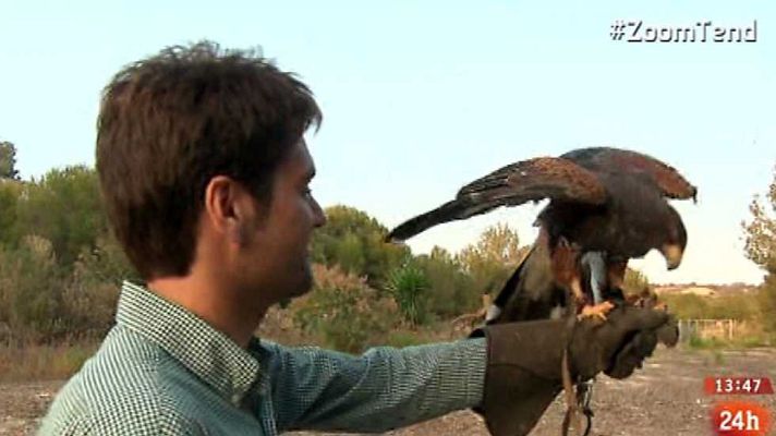 Zoom Tendencias - Una escapada envuelta en paisaje y buena vida
