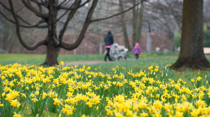 El tiempo - Cielo nuboso en Galicia, cantábrico oriental y Pirineo