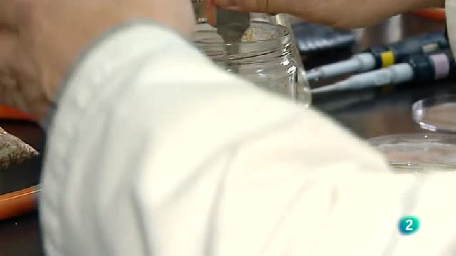 Agrosfera - Laboratorio de ideas - El mejor pan del mundo