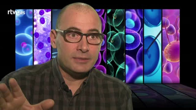 Lluís Ribas - Crónicas | Ver