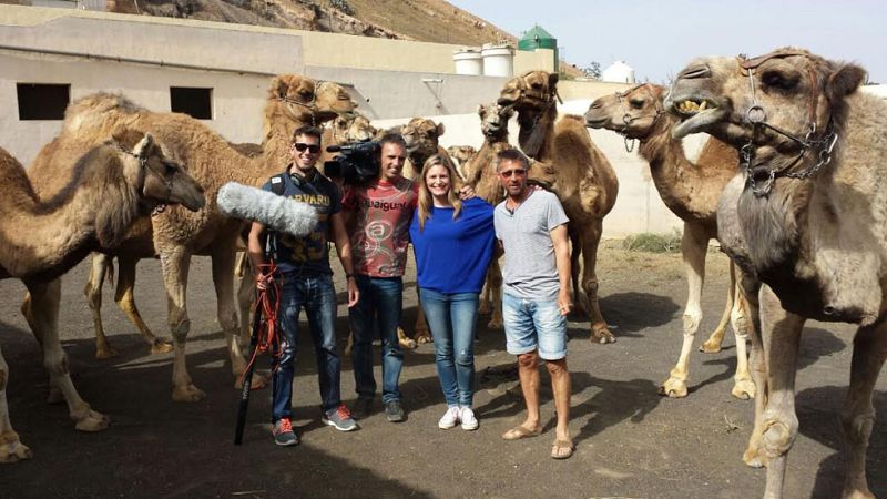 Aquí la Tierra-Felices camellos en su granja