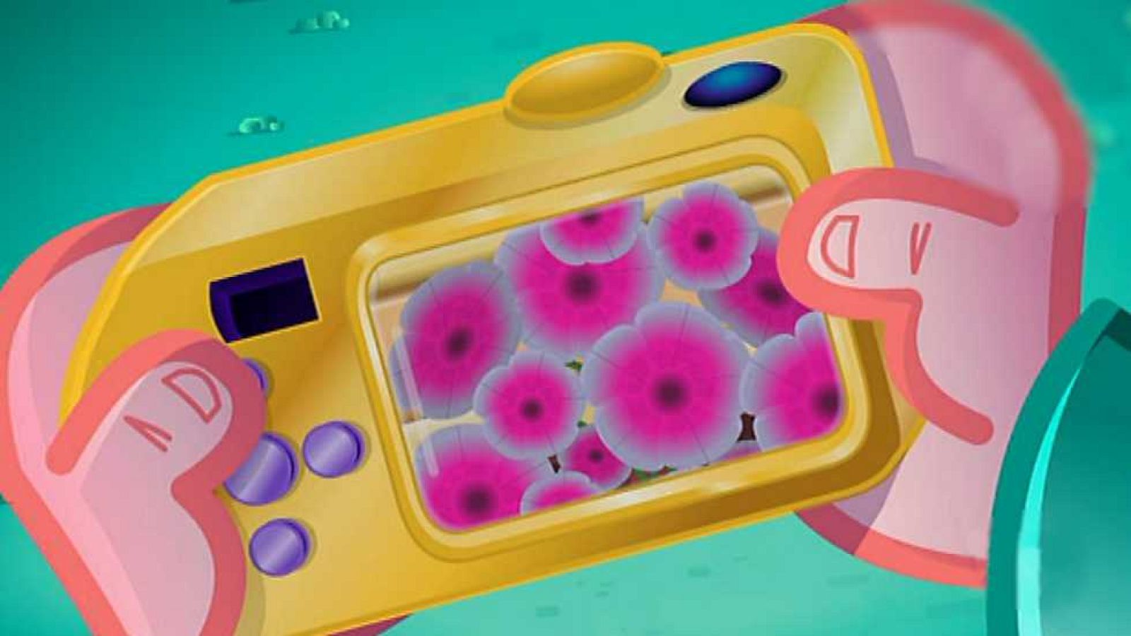 Petunias - Sandra, Detective de cuentos | Ver