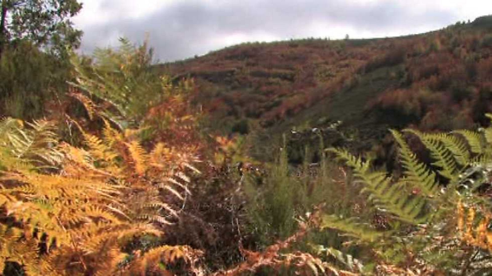 Burgos, la Tierra tal como era - Otoño - ver ahora