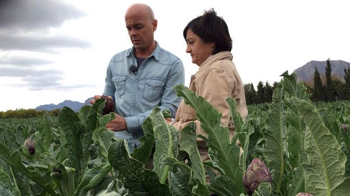 Aquí la Tierra - Alcachofas moradas exquisitas