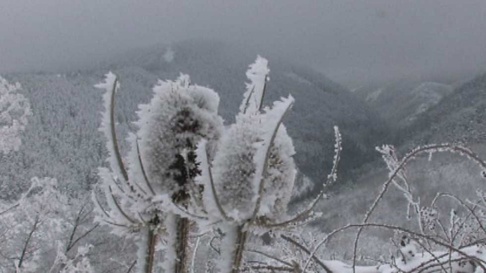 Burgos, la Tierra tal como era - Invierno - ver ahora