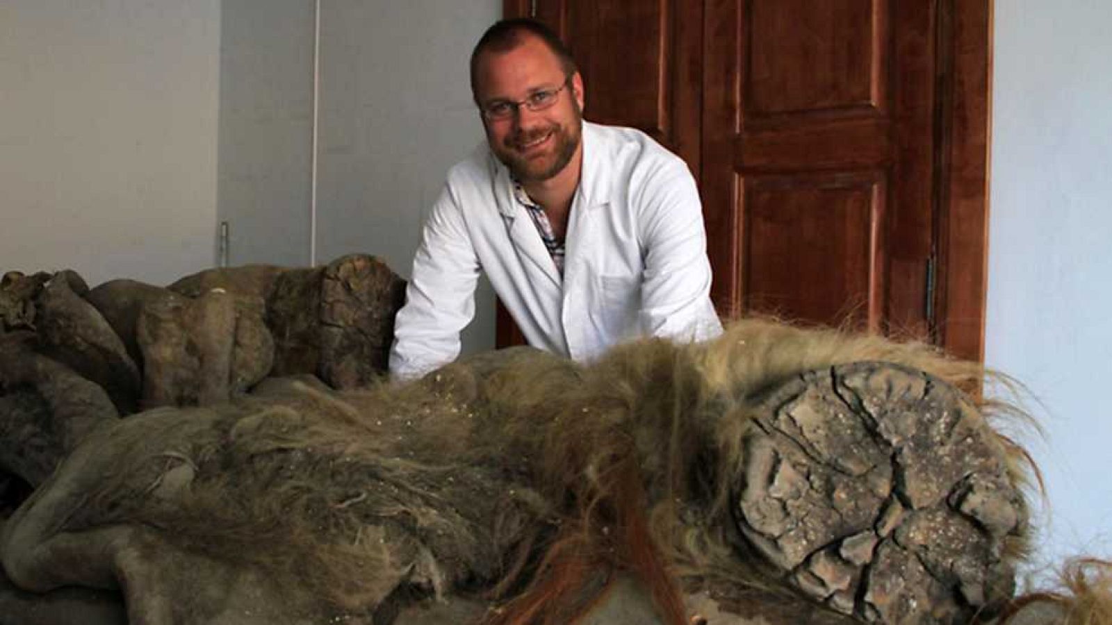 Documenta2 - Mamut: de entre los muertos - ver ahora