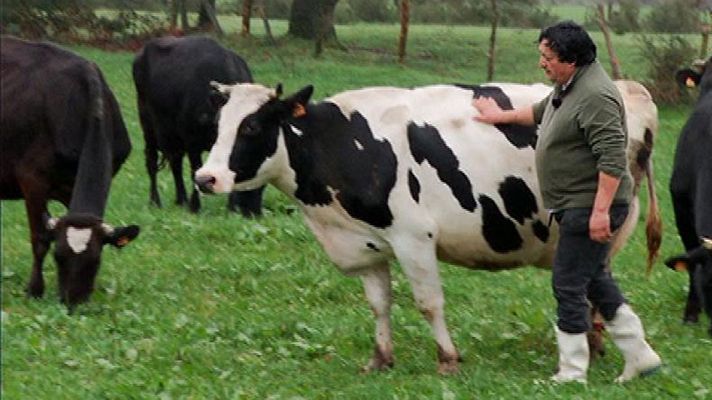 Aquí la Tierra - Leche que aún sabe a leche