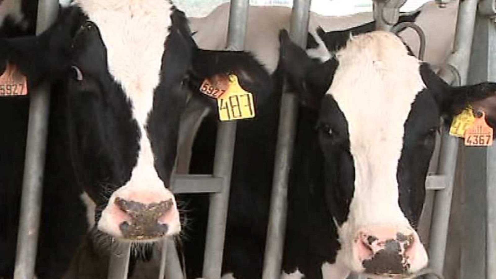 Agrosfera - 04/04/15 - Ver ahora