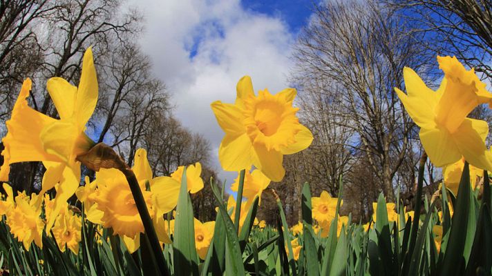 El tiempo - Descenso de las temperaturas en la mitad norte y centro peninsular