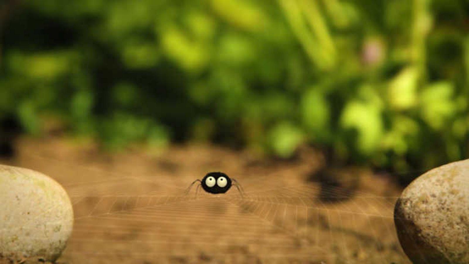 Tela elástica - Minúsculos | Ver