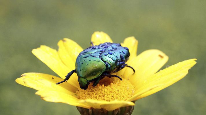 El tiempo - Lluvia y bajada temperaturas en Andalucía, Extremadura y Castilla La Mancha