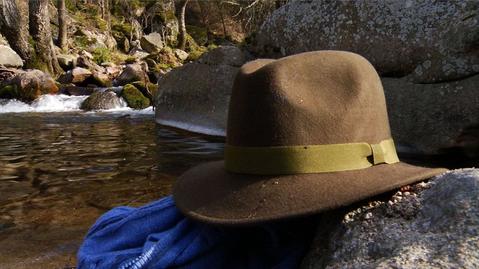 Juan Plantas deshoja margaritas