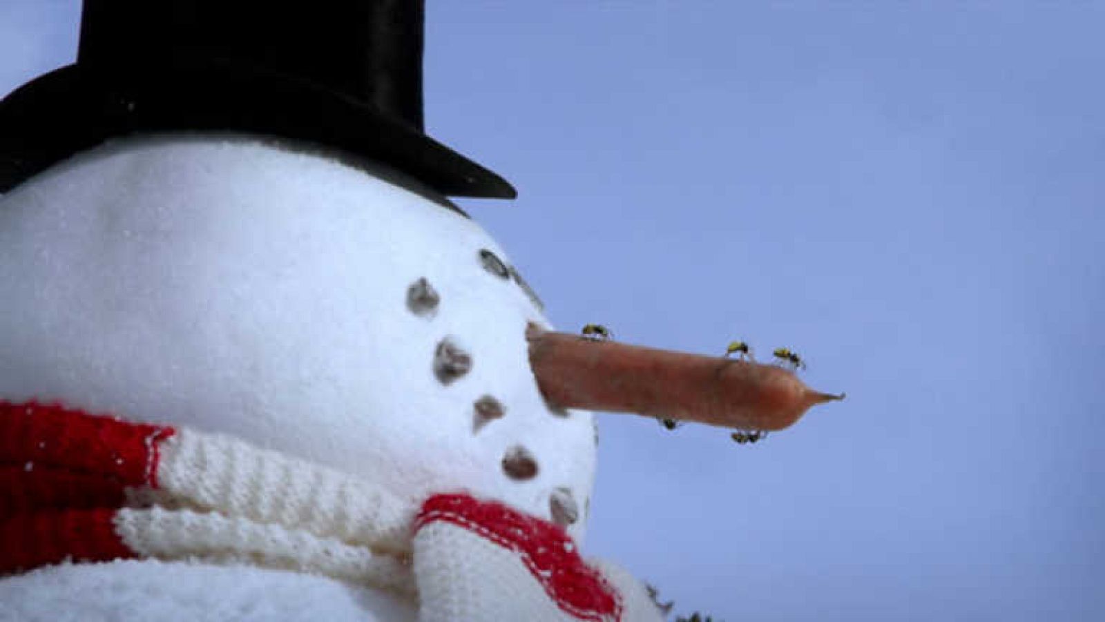 La escoba - Minúsculos | Ver