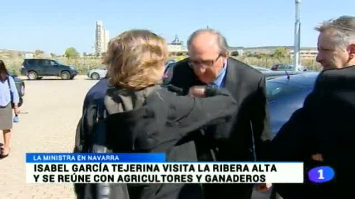 Telenavarra - Telenavarra - 07/04/2015