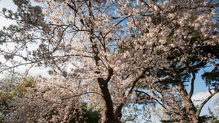 El tiempo - Viento fuerte y tormentas en el sur y despejado y cálido en el norte