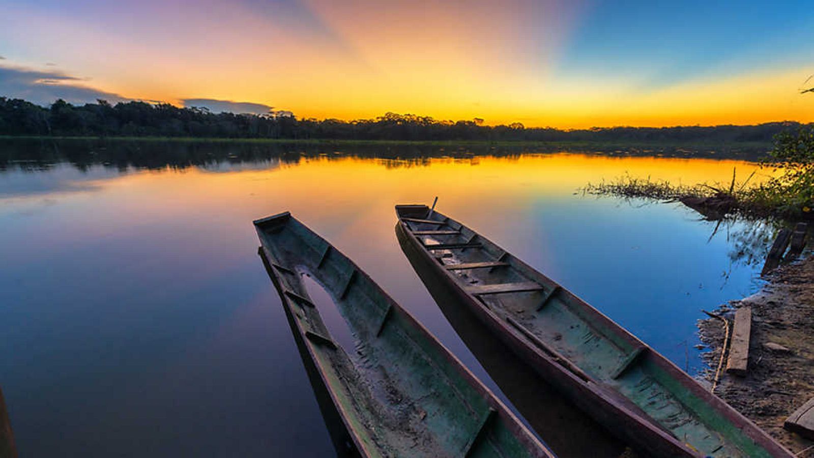 Grandes documentales - Las islas más salvajes. Las islas del Amazonas. La selva flotante - ver ahora